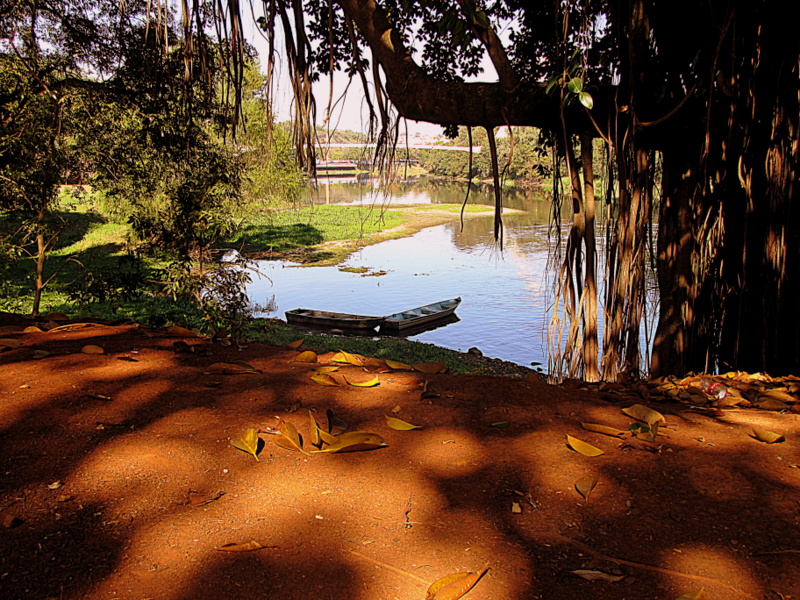 Vista do Rio Piracicaba