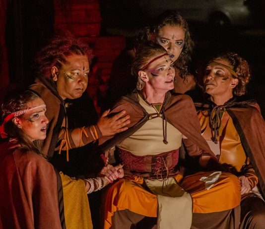 Cia Cenica já se apresentou no Fentepira