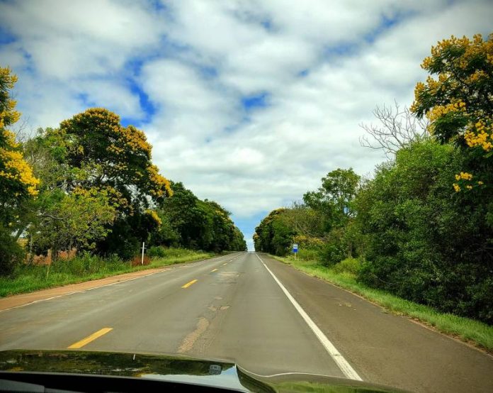 Estrada no Rio Grande do Sul