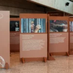 Aterra: Fotografia do Imaflora no SESC Piracicaba