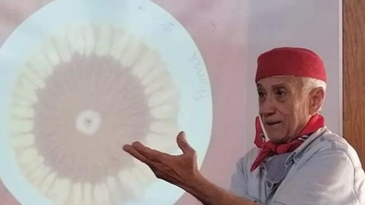 Ciclo Da Matéria Orgânica E Mu