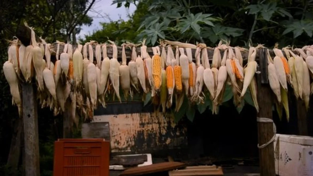 Cine Debate: Questão Agrária E