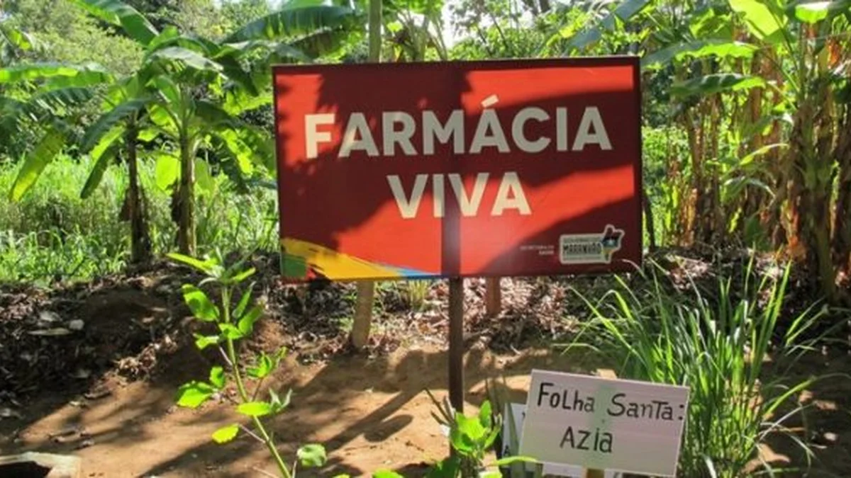 Farmácia Viva: Introdução À Id