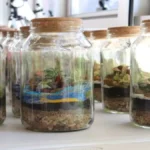 Oficina Meu Pequeno Terrário – Aprenda a Construir Seu Minijardim em Limeira