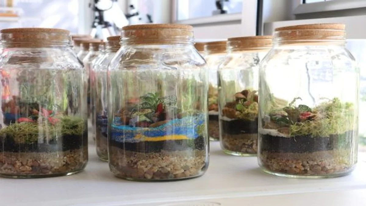 Oficina Meu Pequeno Terrário