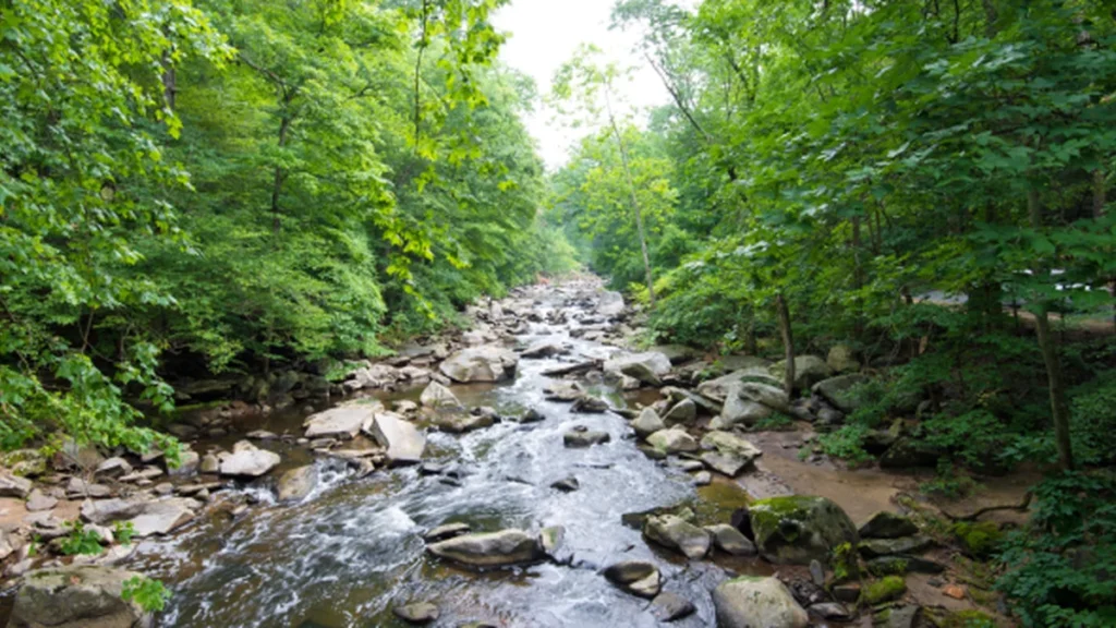 Qual é a saúde do seu riacho? Oficina SESC Piracicaba