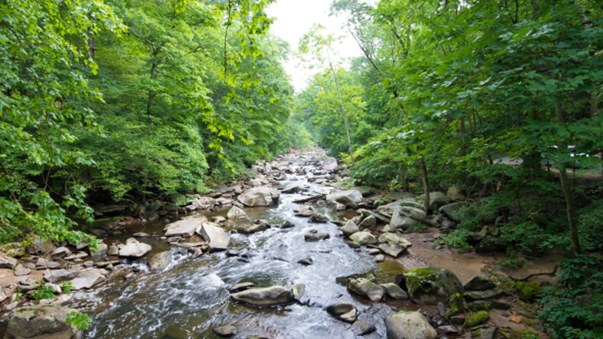 Qual É A Saúde Do Seu Riacho?