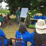 Inscrições até sexta: curso gratuito ‘Da Semente à Paisagem’ sobre restauração ecológica em Piracicaba
