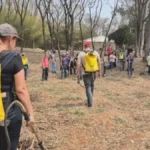 Manejo do Fogo: Formação da Brigada Agroecológica no Sesc Piracicaba